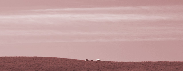 K◝eEoe̋`CuU`@LLPSe