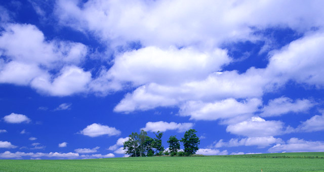 K◝eEoe̋`CuU`@LLPSe